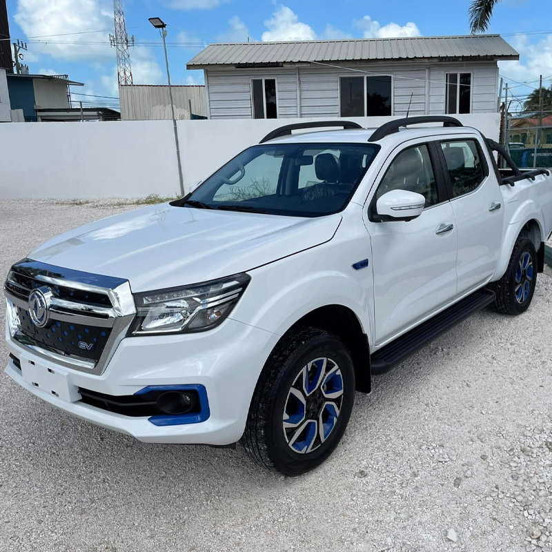 2023 Dongfeng Rich6 EV Pickup
